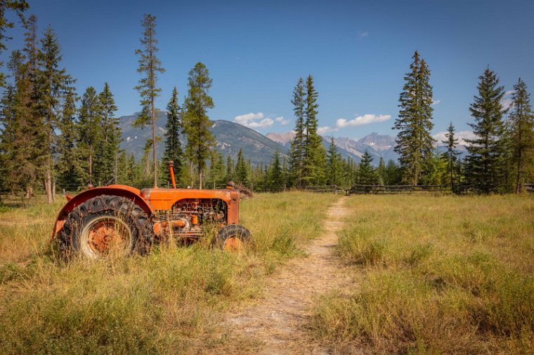 161 Canada, Golden, Rocky Mountain Buffalo Ranch.jpg